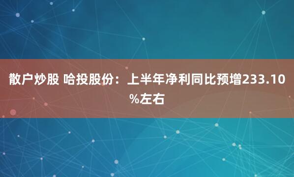 散户炒股 哈投股份：上半年净利同比预增233.10%左右