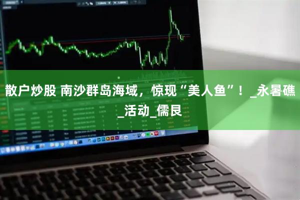 散户炒股 南沙群岛海域，惊现“美人鱼”！_永暑礁_活动_儒艮