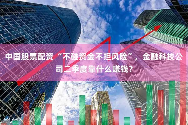中国股票配资 “不碰资金不担风险”，金融科技公司二季度靠什么赚钱？