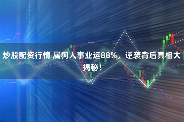 炒股配资行情 属狗人事业运88%，逆袭背后真相大揭秘！