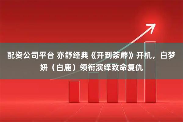 配资公司平台 亦舒经典《开到荼蘼》开机，白梦妍（白鹿）领衔演绎致命复仇